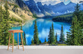 Nature Wallpaper Mural