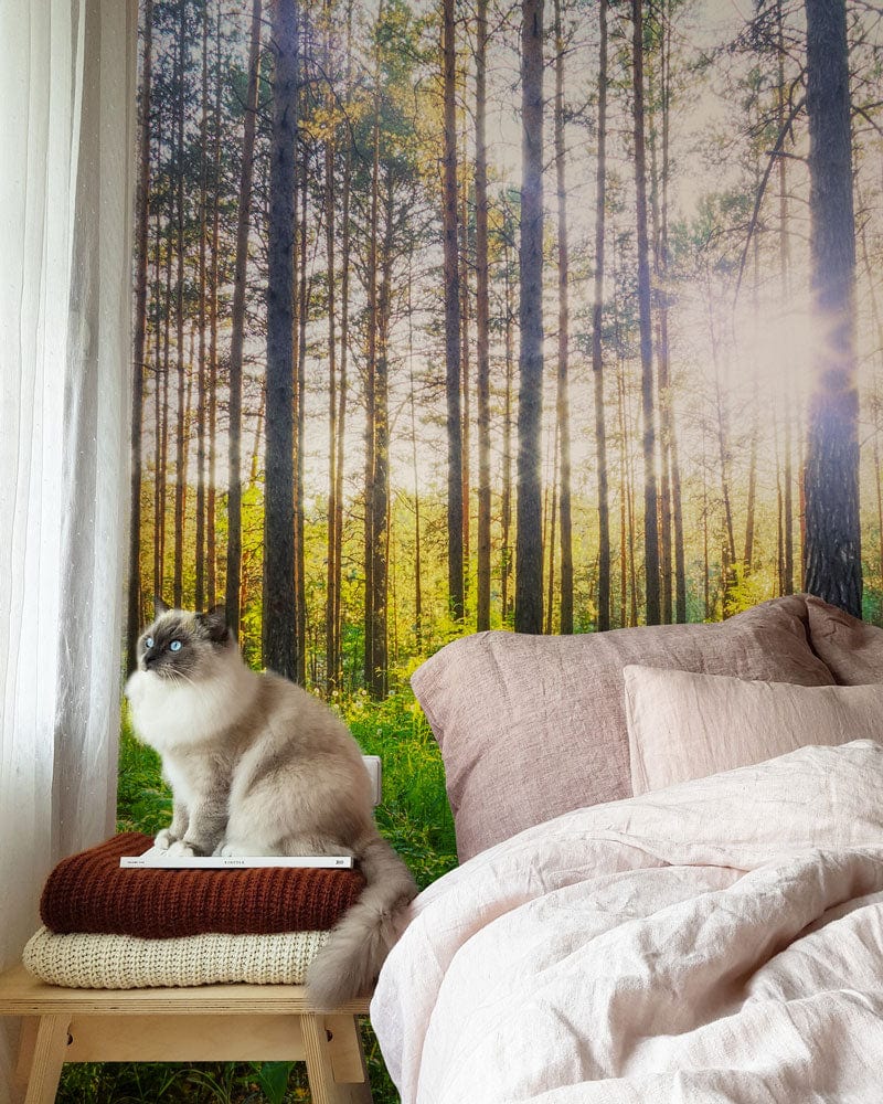 Sunlit Forest Wallpaper with cat, neutral bedding, wooden side table, and natural light in bedroom.