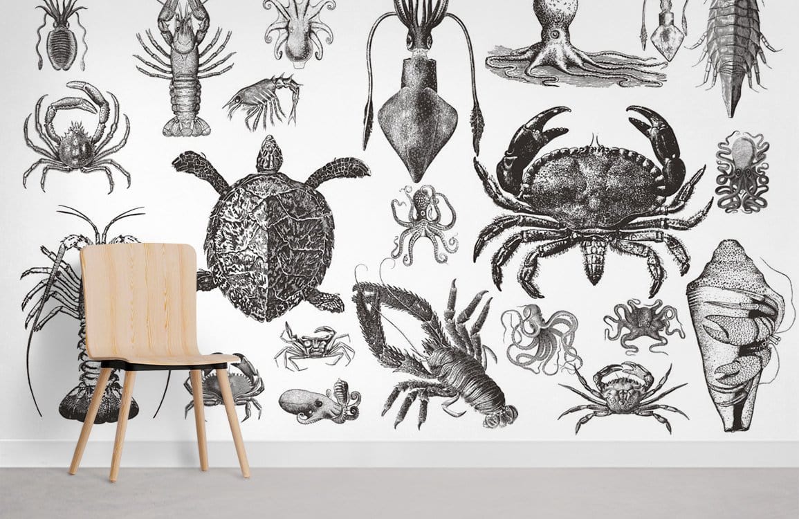 Vintage marine life illustration wallpaper with monochrome ocean creatures, wooden chair, grey flooring.