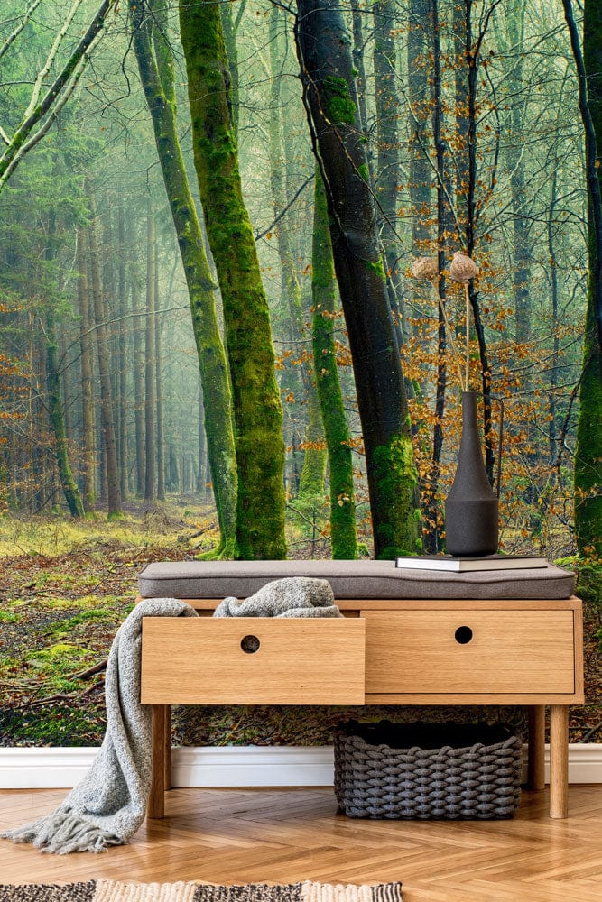 Mystical Green Forest Mural Wallpaper with wooden bench, parquet flooring, creating serene woodland atmosphere.