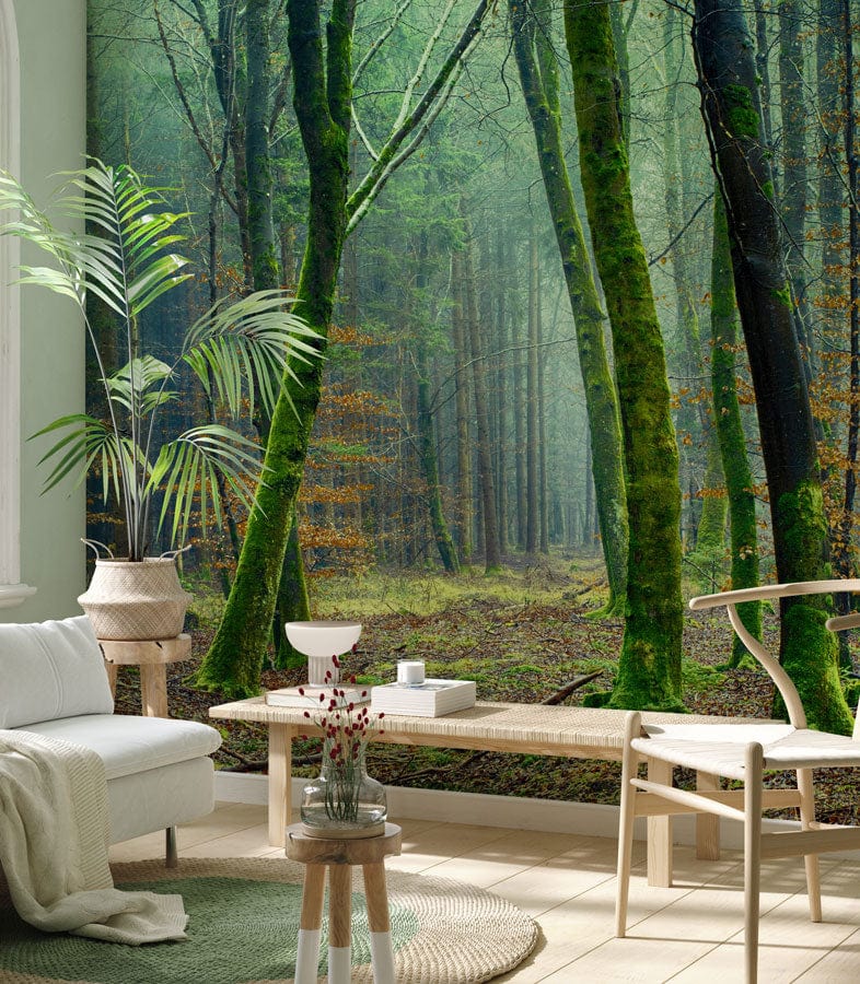Mystical Green Forest mural wallpaper in lounge, beige sofa, wooden flooring, nature-inspired decor.
