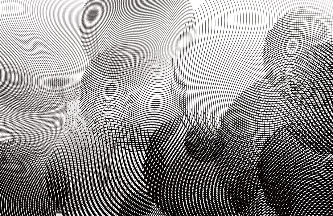 Hypnotic Black and White Curved Line Patterned Wallpaper - Modern Style