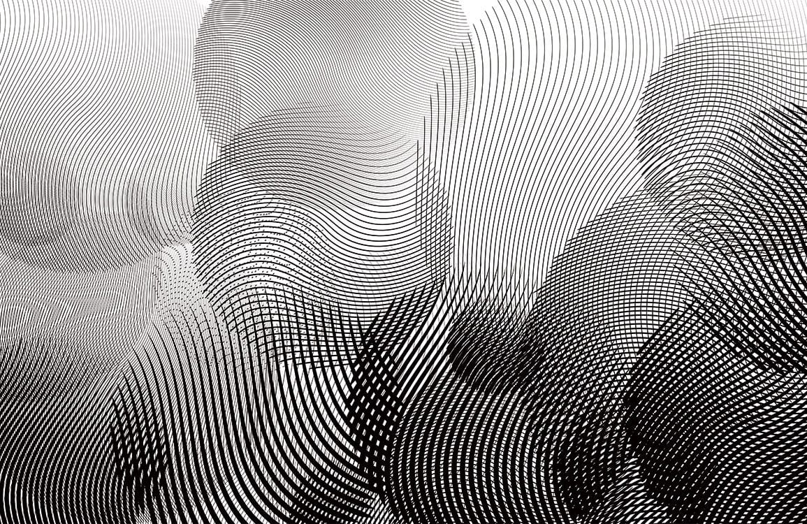 Hypnotic Black and White Curved Line Patterned Wallpaper - Modern Style