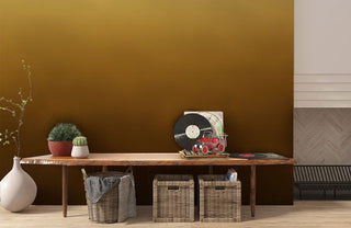 Ombre Brown Wallpaper Mural