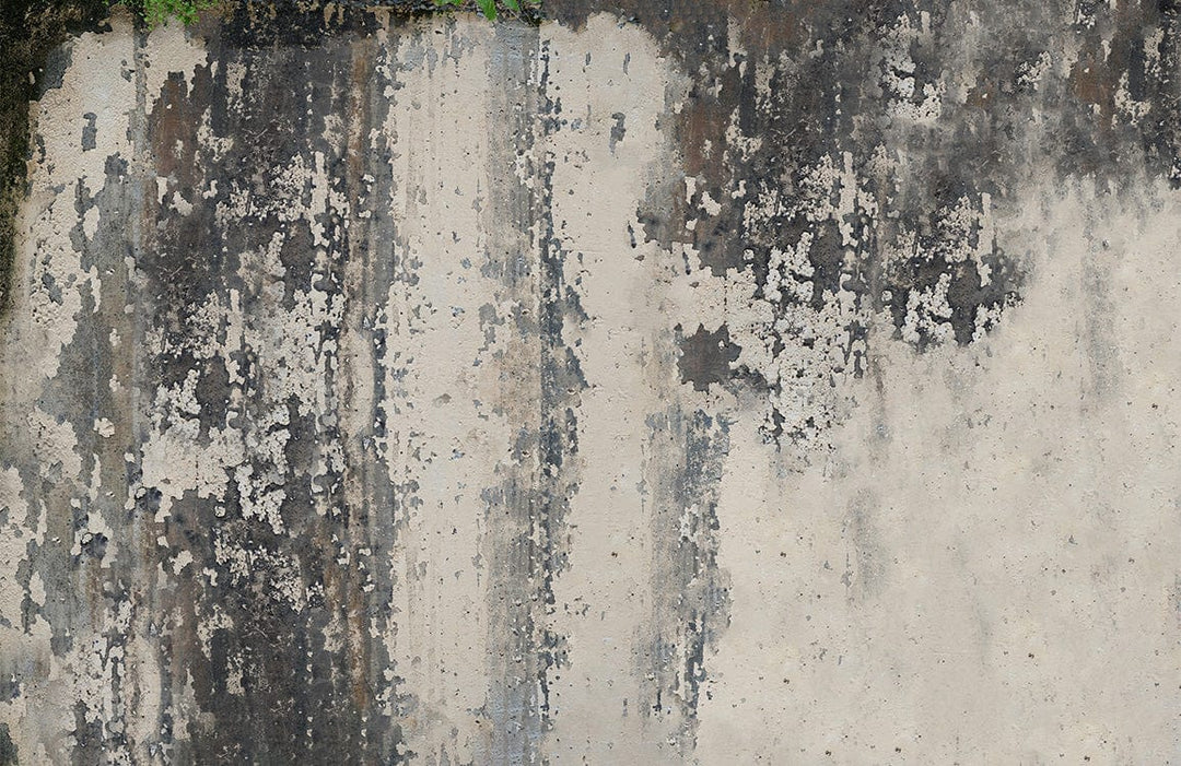 Vintage Industrial Grunge Textured Wall Mural in Rustic Grey Tones