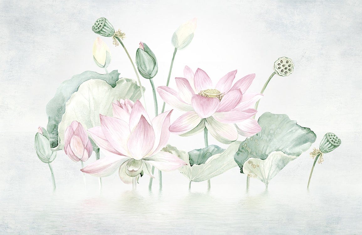 Elegant Pastel Lotus Blossom Mural Wallpaper - Serene Floral Design Decor