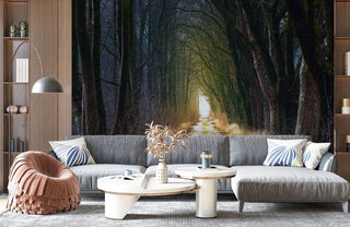Path To Far Away Wallpaper Mural