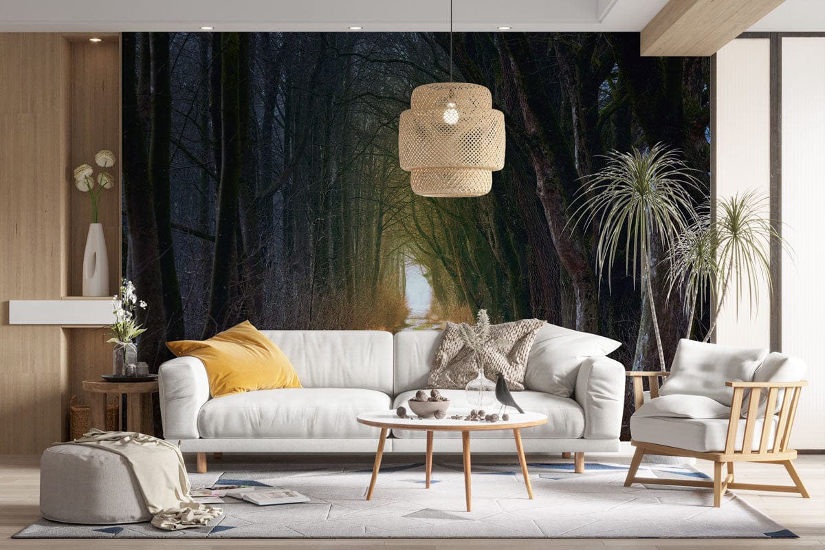 Enchanted Forest Mural Wallpaper in living room with cosy white sofa, wood flooring, and wicker lamp.
