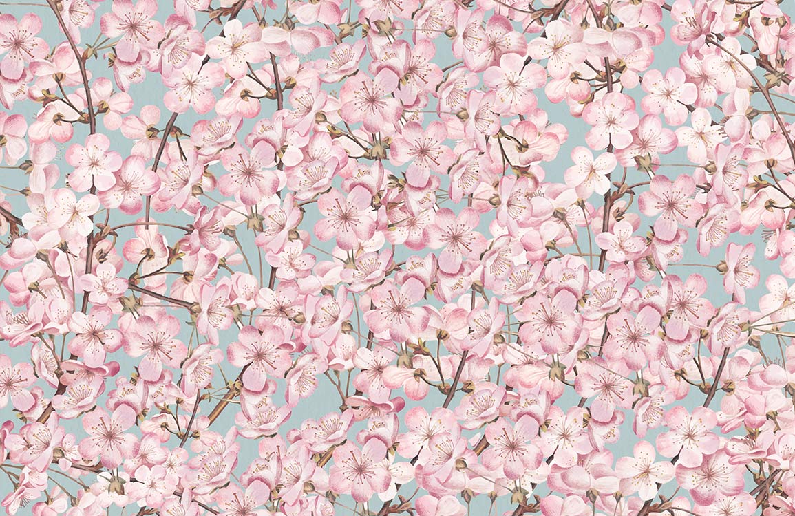 Elegant Cherry Blossom Floral Wallpaper in Soft Pink and Blue Tones