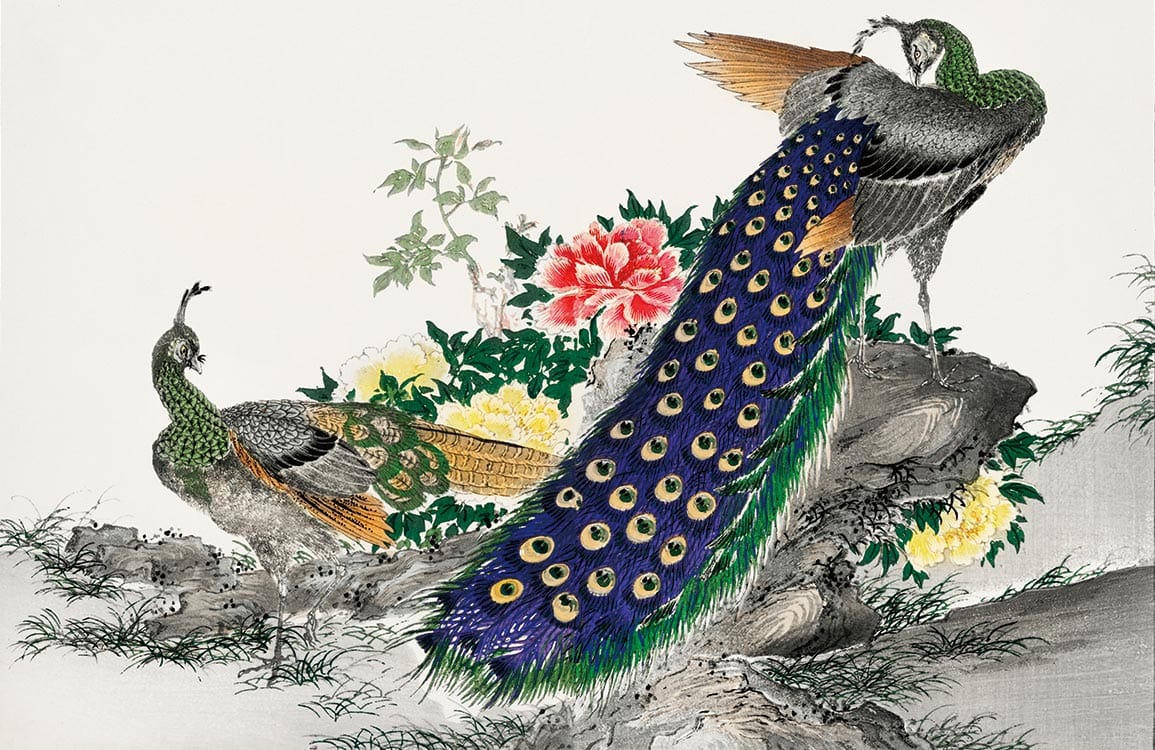 Elegant Peacock and Floral Oriental Mural Wallpaper in Vibrant Colours Design