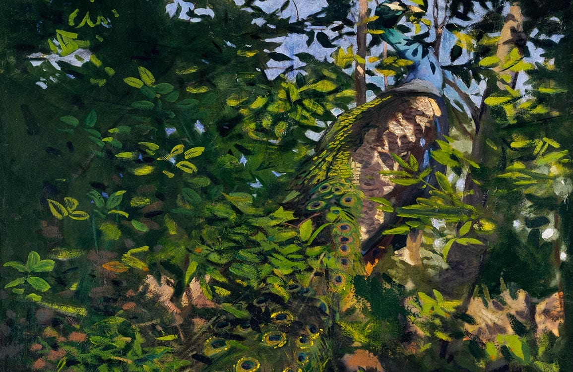 Enchanting Forest Peacock Mural Wallpaper - Green Nature Themed Decor.