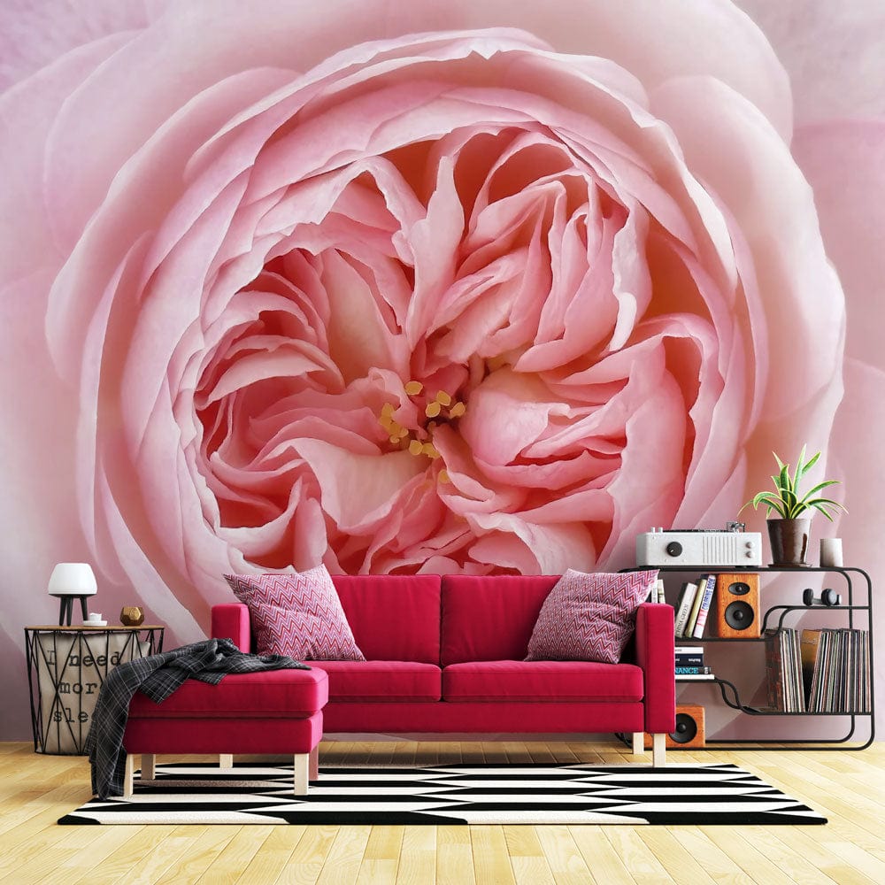 Elegant blush pink rose wall mural; chic living room; vibrant red sofa; hardwood flooring; modern decor.