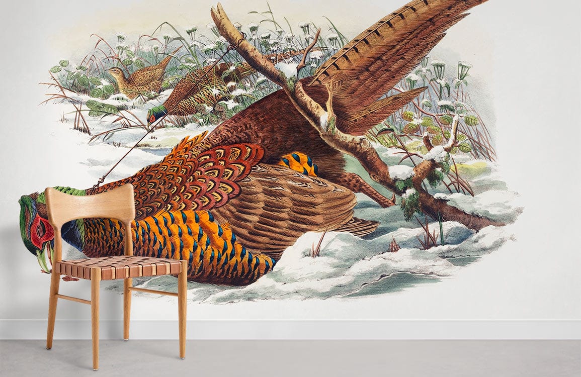 Phasianus Colchicus Wallpaper Mural