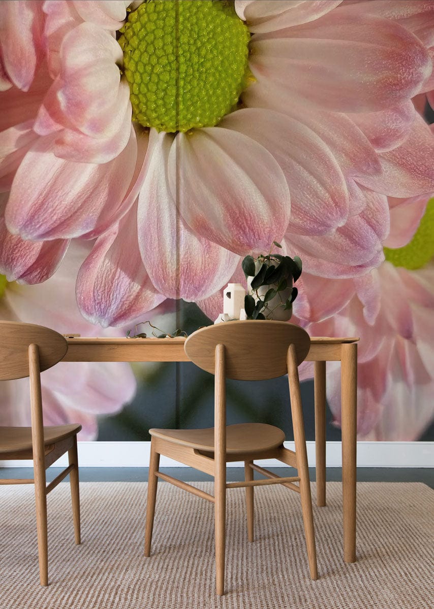 Blush Pink Daisy Floral Mural Wallpaper, vibrant green centres, wooden dining table, beige carpet flooring.
