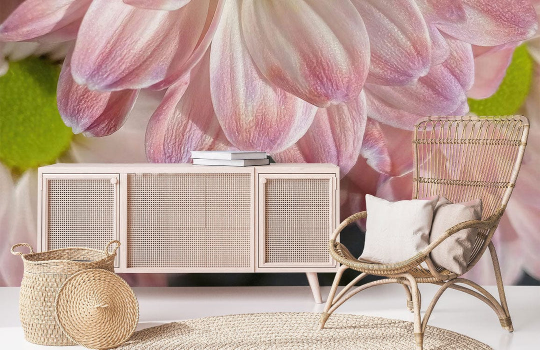 Blush Pink Daisy Floral Mural Wallpaper with Green Centres, rattan chair, woven basket, cream sideboard.