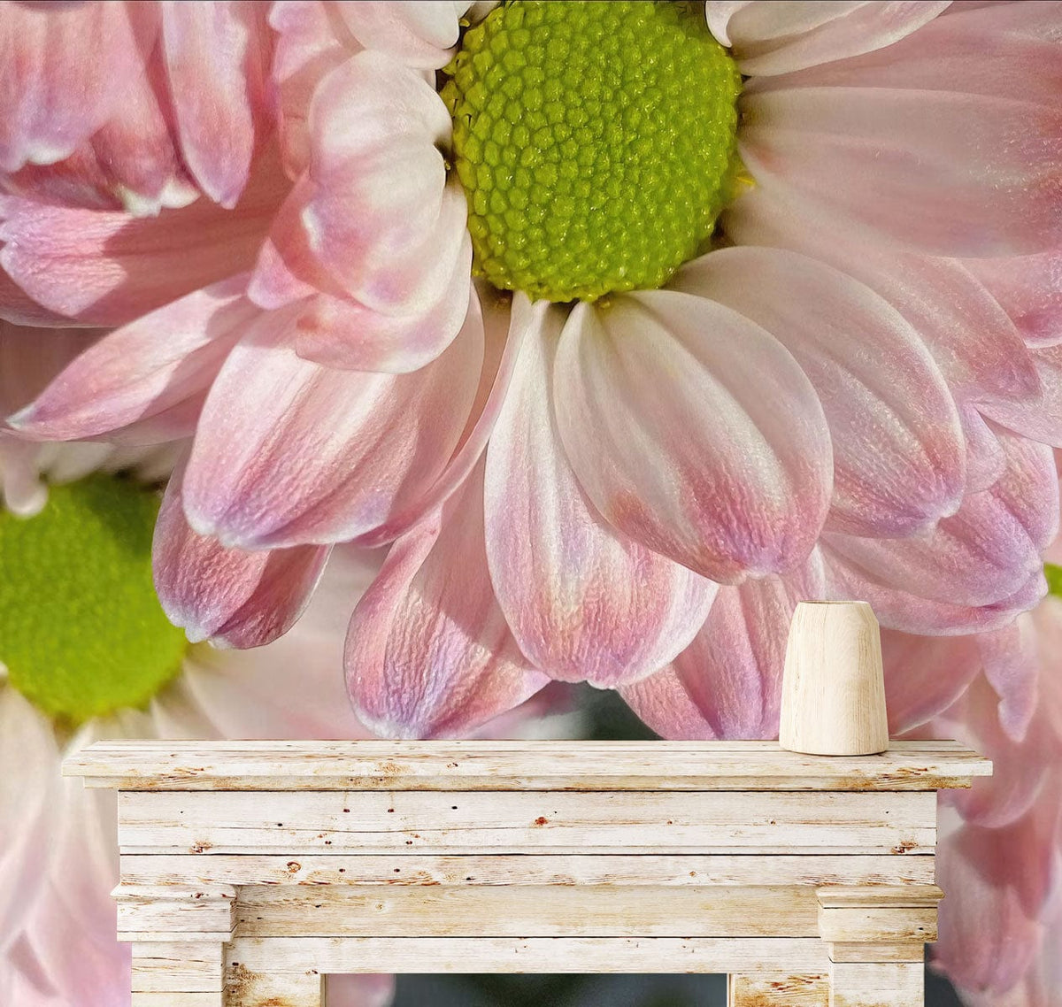 Blush pink floral mural wallpaper with vibrant green centres behind rustic white fireplace in living room.