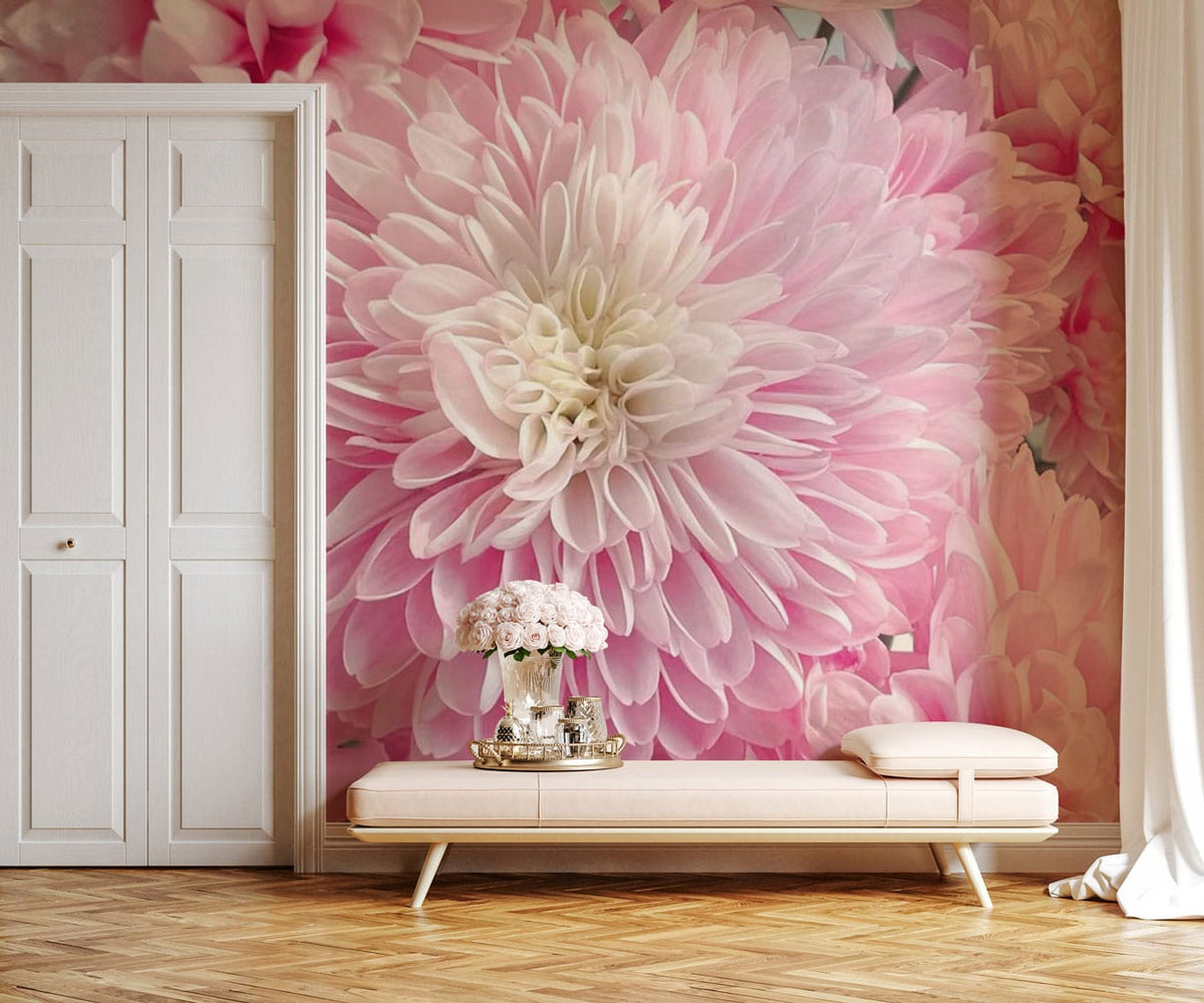 Blush pink chrysanthemum wallpaper in elegant room, featuring cream door and stylish light pink sofa.