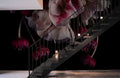 Pink in Dark Wallpaper Mural