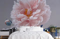Pink Peony Aroma Wallpaper Mural