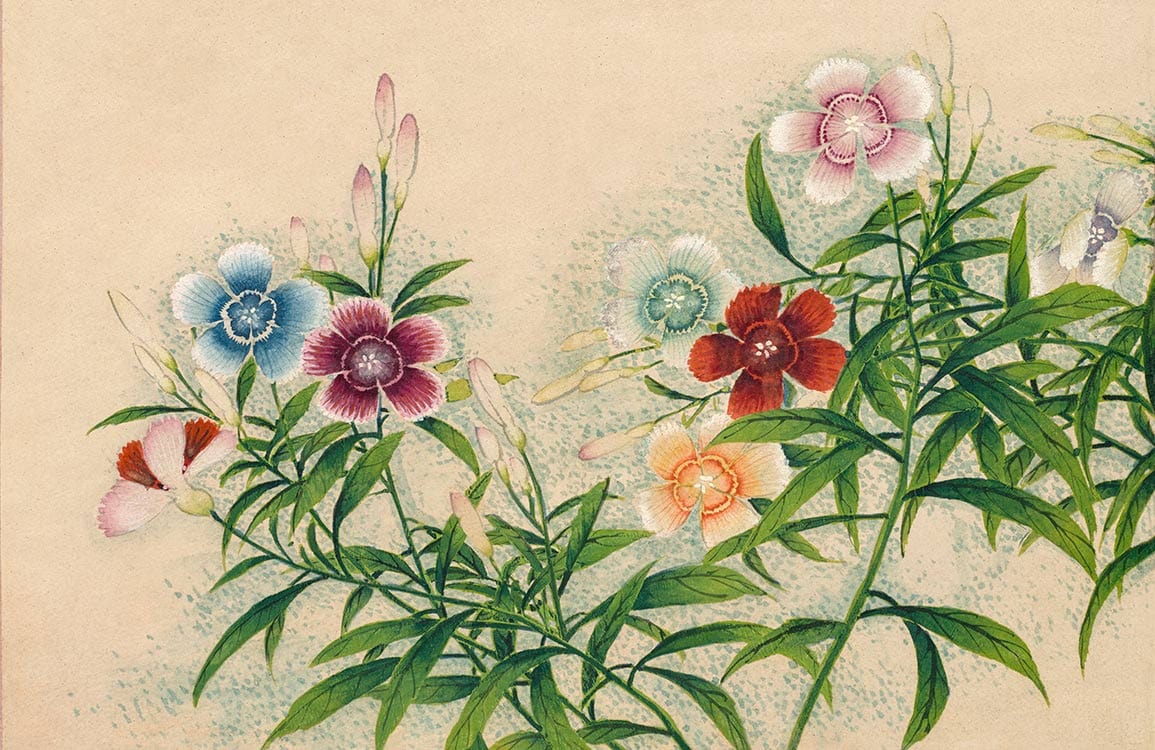 Vintage Botanical Floral Wallpaper in Pastel Hues with Green Foliage Design