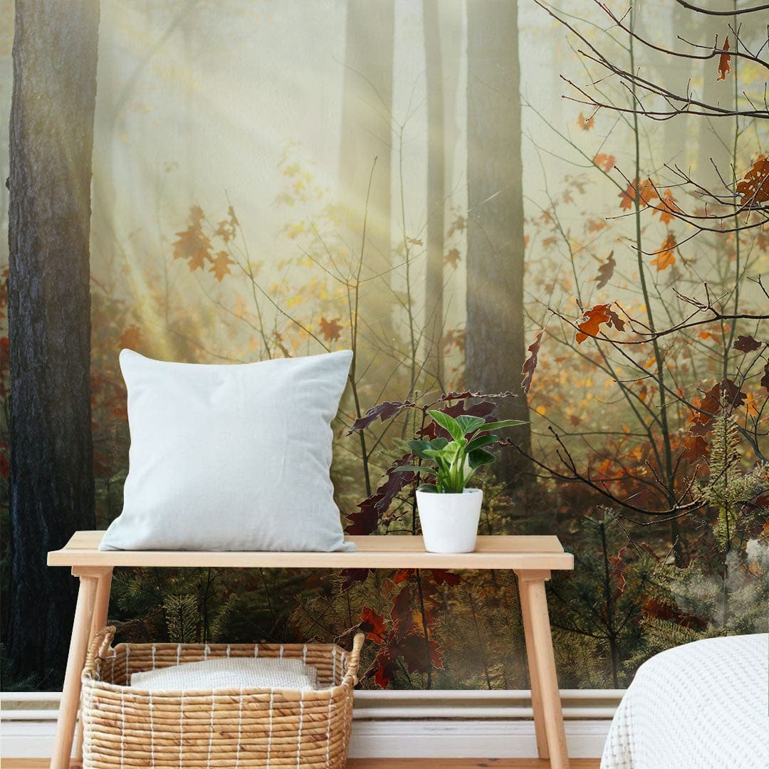 Rustic Autumn mural wallpaper with sunlit trees, bench, white cushion, basket, and natural wood floor.