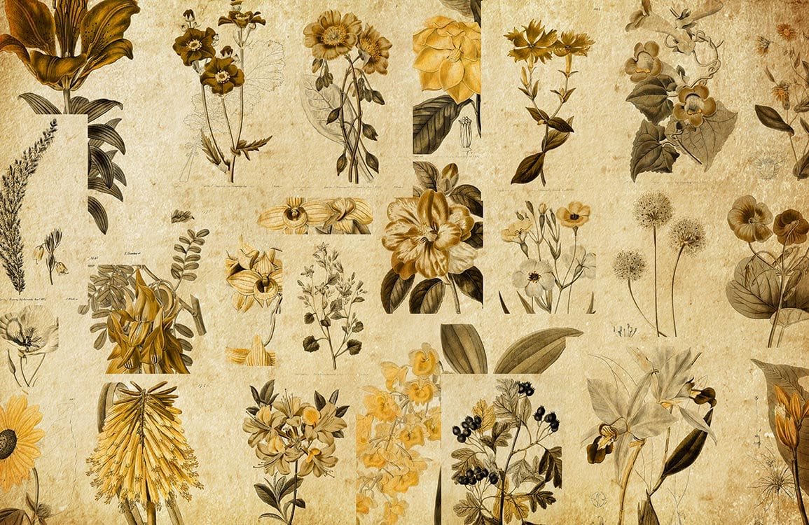 Vintage Botanical Floral Mural Wallpaper with Golden and Sepia Tones Design