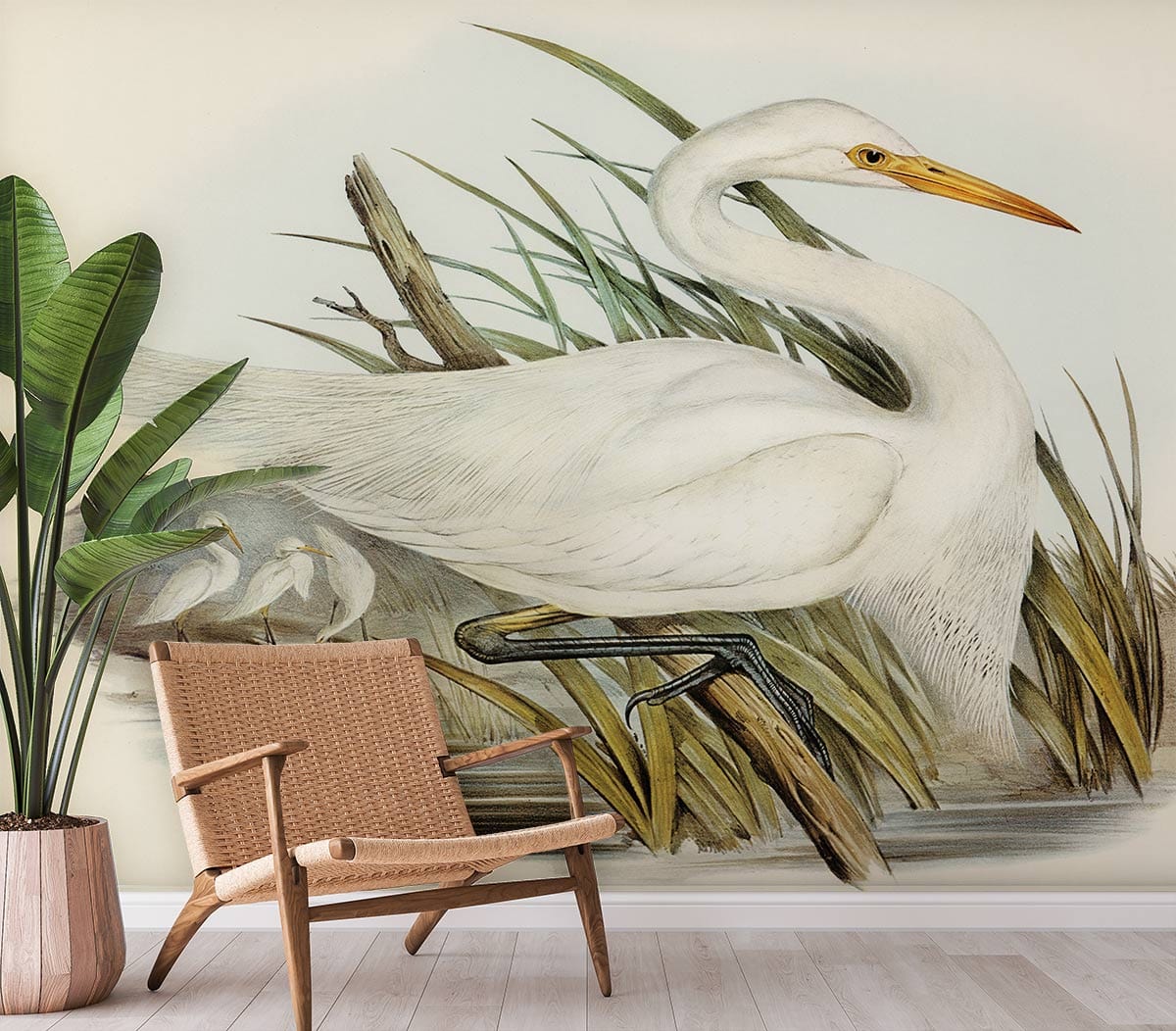 Elegant wallpaper featuring egret in vintage style with wicker chair, light flooring, and green plant.