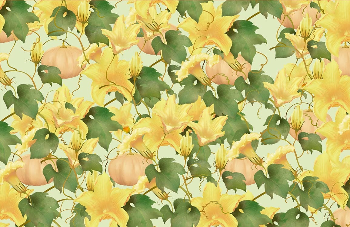 Autumn Pumpkin Vine Floral Wallpaper - Yellow Green Botanical Mural Design