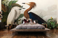 Purple Heron Wallpaper Mural