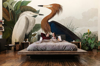 Purple Heron Wallpaper Mural
