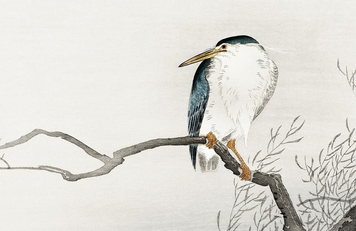 Serene Watercolour Heron on Branch Nature-Inspired Mural Wallpaper Design