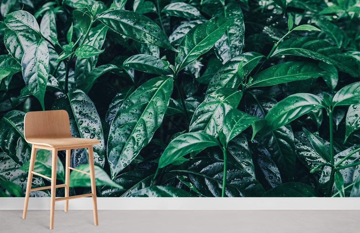 Raindrops Wallpaper Mural