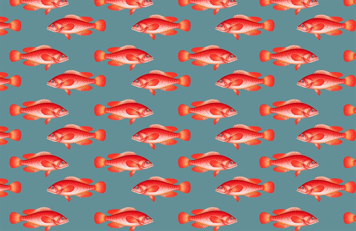 Vibrant Red Fish Pattern Wallpaper for Coastal Interior Design Elegance