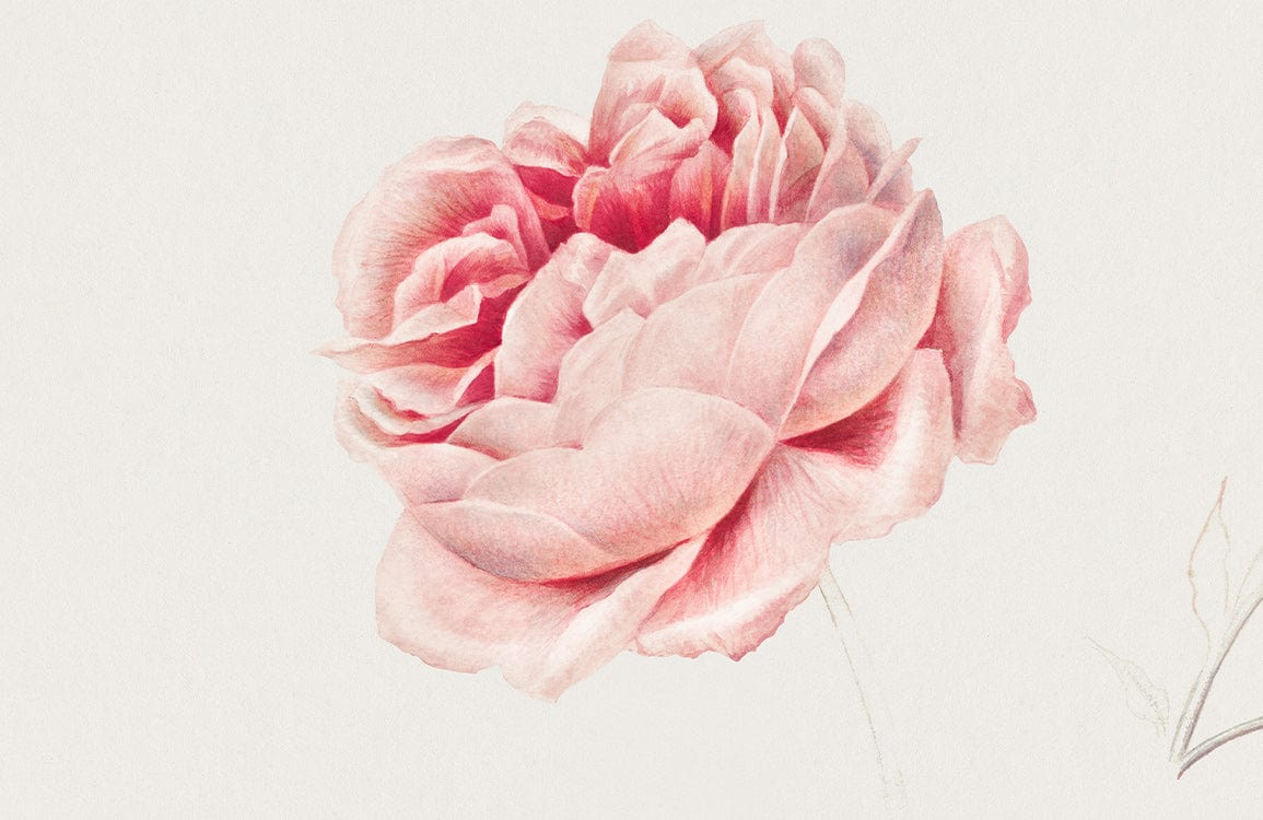 Elegant Vintage Pink Rose Floral Wallpaper Mural - Soft Pastel Design