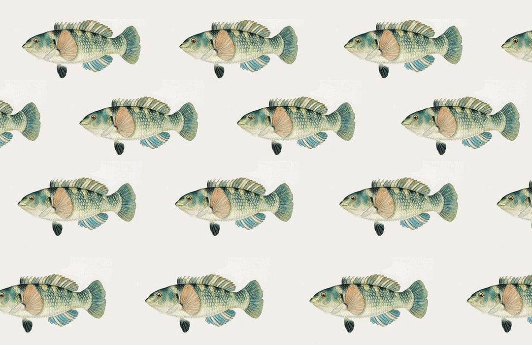 Vintage Fish Pattern Wallpaper in Soft Green for Coastal Retreat Décor