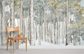 Silver Birch Trees Wallpaper Mural