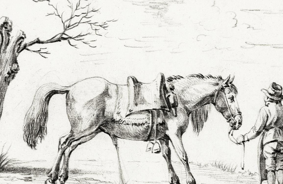 Vintage Equestrian Toile Wallpaper in Classic Charcoal Sketch Style Design