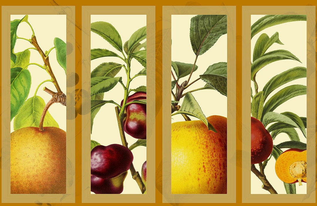 Vintage Botanical Fruit Panel Wallpaper - Vibrant Nature-Inspired Mural Design