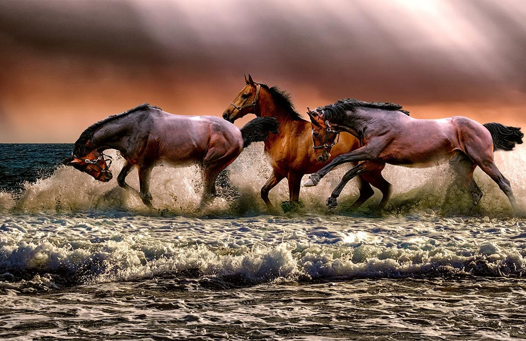 Majestic Horses in Surf Mural Wallpaper - Dramatic Sunset Seaside Scene