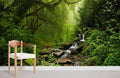 Running Streams in Forest Wallpaper Mural For Bedroom