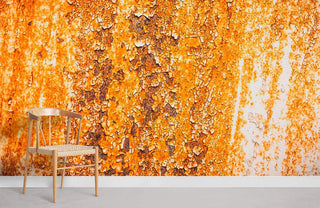 Rust Piece Wallpaper Mural