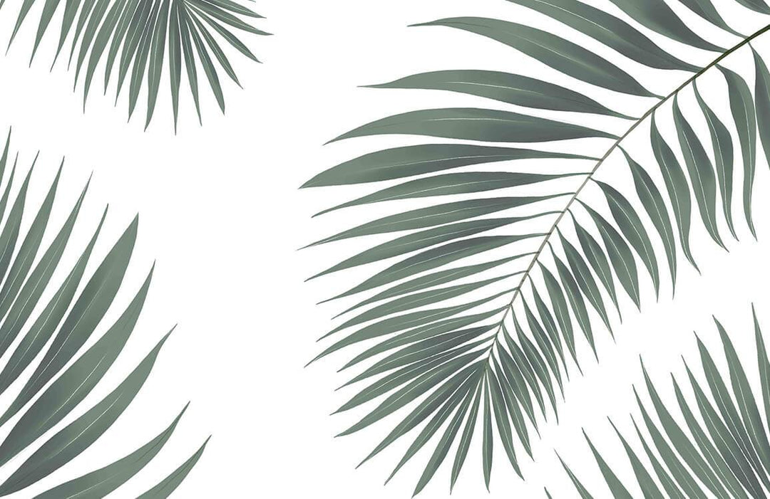 Tropical Palm Leaf Wallpaper in Green - Minimalist Botanical Design Decor