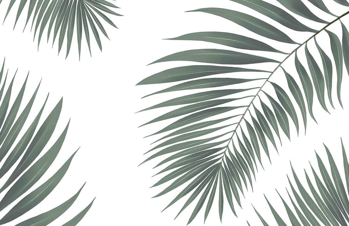 Tropical Palm Leaf Wallpaper in Green - Minimalist Botanical Design Decor