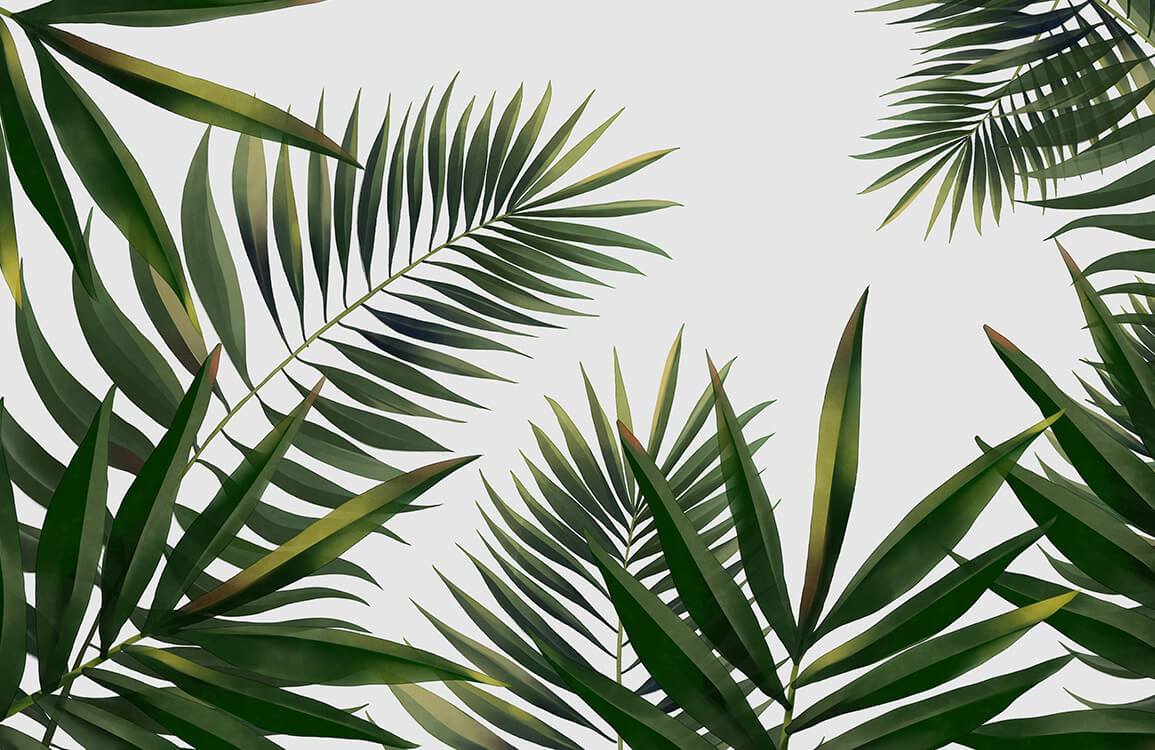 Elegant Green Palm Leaves Tropical Mural Wallpaper for Modern Interiors