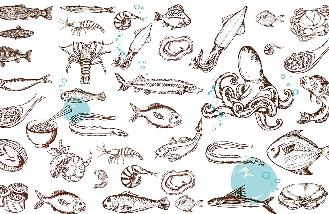 Nautical Marine Life Illustrated Wallpaper in Brown and Blue Tones