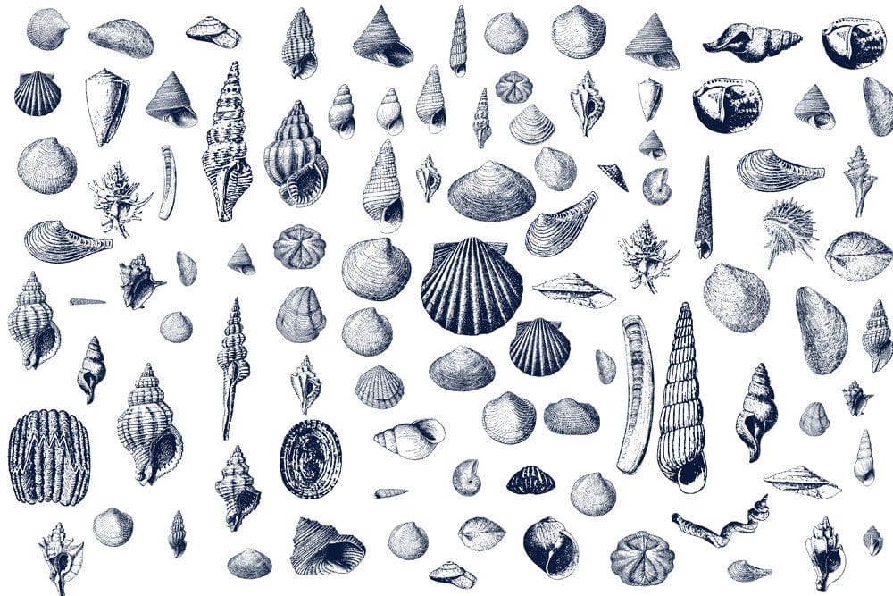 Nautical Blue Seashell Pattern Wallpaper for Coastal Interior Design Decor