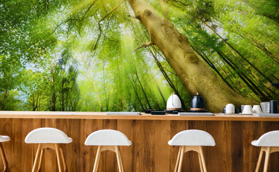 Vibrant sunlit forest mural wallpaper, bar stools, wood countertop, nature decor, calming setting.