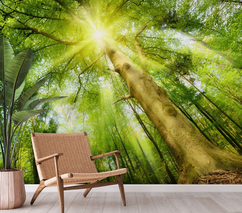 Vibrant sunlit forest mural wallpaper in living room with wicker chair and wooden flooring.