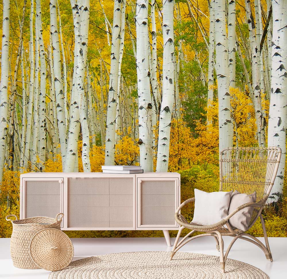 Golden Autumn Birch Forest mural wallpaper, wicker chair, light wooden console, round woven rug, autumn decor.