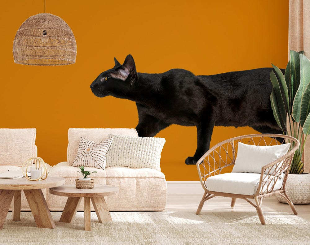 Mystical Black Cat Silhouette wallpaper with mustard background, beige sofas, wicker chair, rattan light.